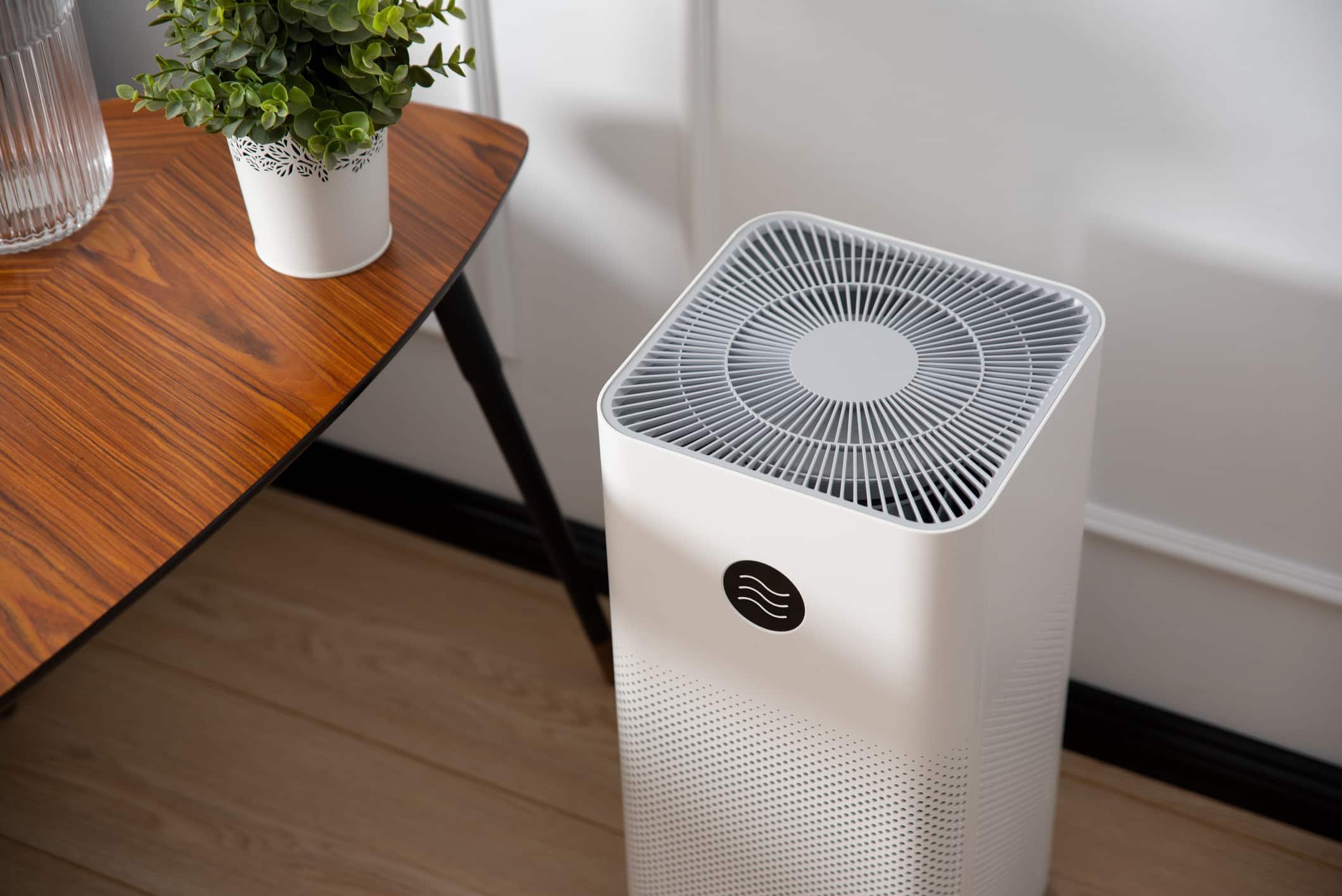 The BEST Air Purifiers For Cigarette Smoke Same Day San Diego